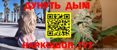 дмт Славгород