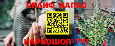 дмт Славгород