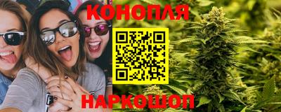 дмт Славгород