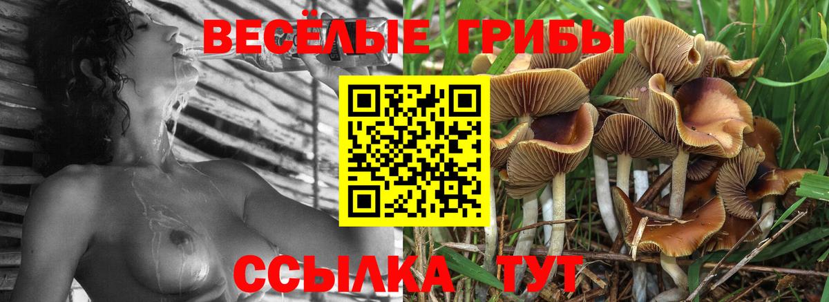 Галлюциногенные грибы Cubensis  Вход с VPN  Хабаровск  Галлюциногенные грибы Cubensis 